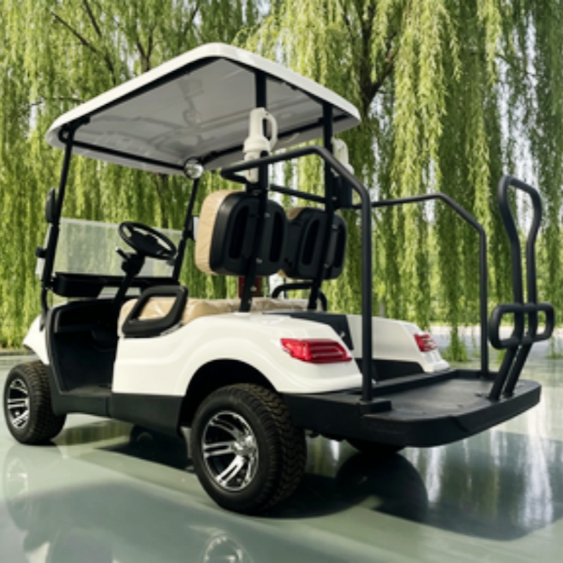Golf Bag Stand Cart - 中国製電動ゴルフカート リチウム電池 2人乗り 60/72V 4000W-7000W キャディー用立位エリアとゴルフバッグラック