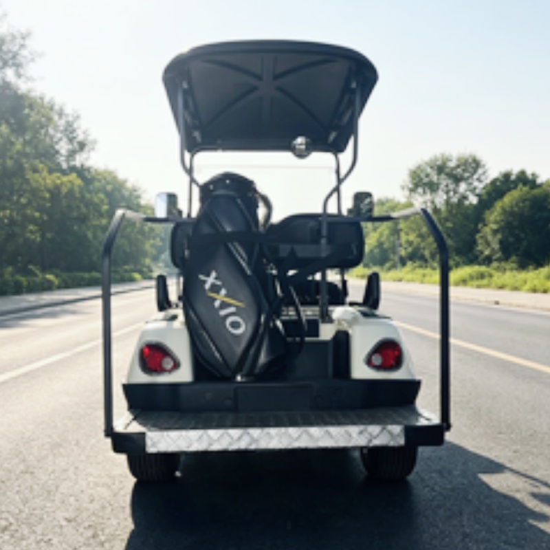 2026年新発売 2人乗り 72Vリチウム電池式電動ゴルフカ - Golf Bag Stand Cart のレビューと価格