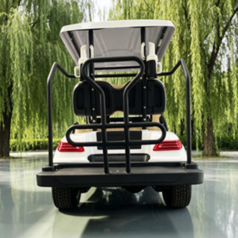 中国製電動ゴルフカート リチウム電池 2人乗り 60/72V - Golf Bag Stand Cart のレビューと価格